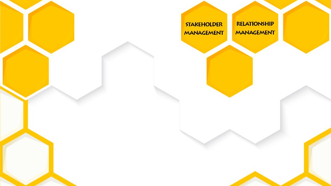 ►   Stakeholder & Relationship Management